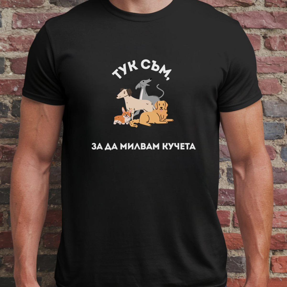 Тук съм, за да милвам кучета