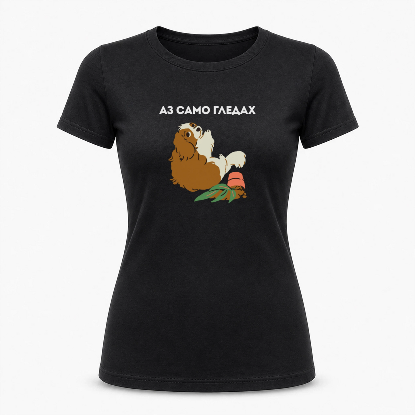 Аз само гледах