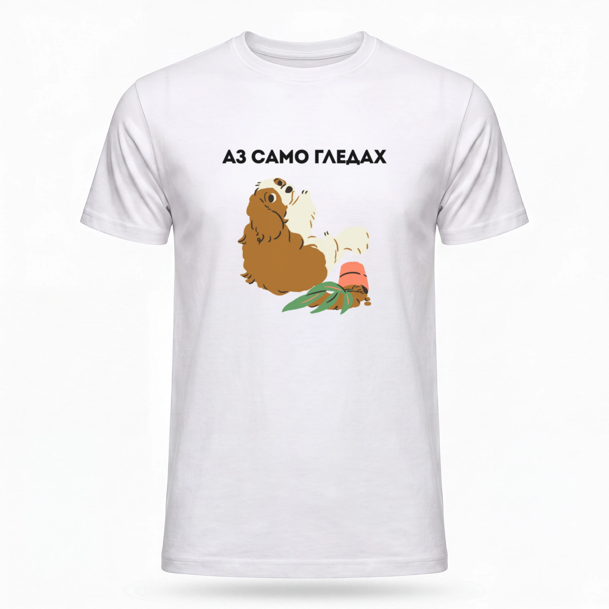 Аз само гледах