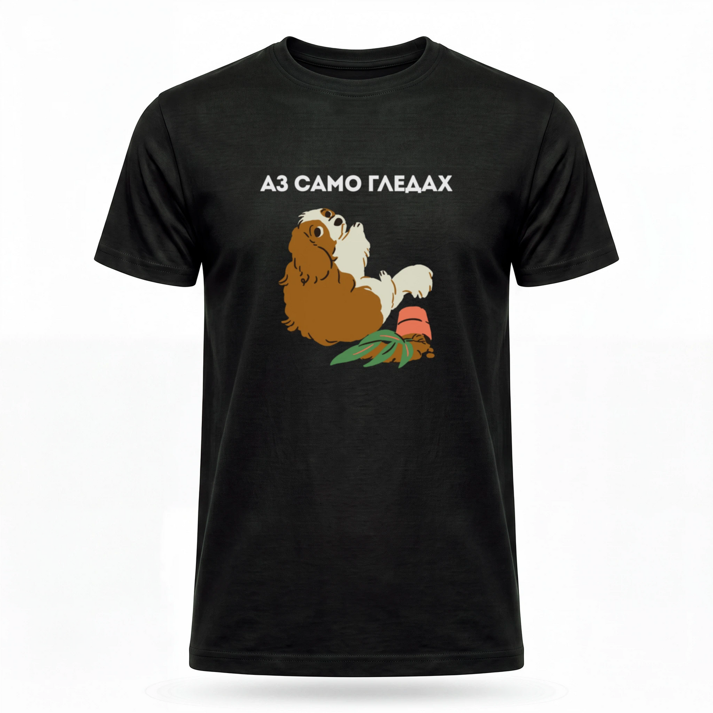 Аз само гледах