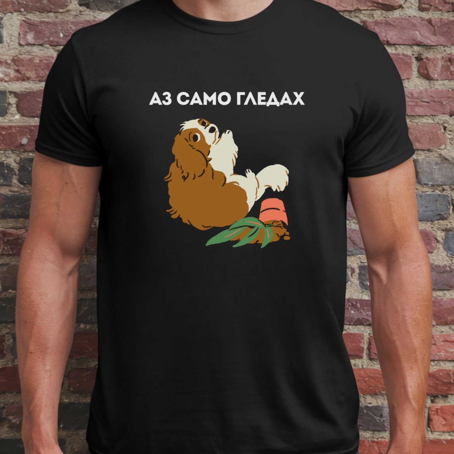 Аз само гледах