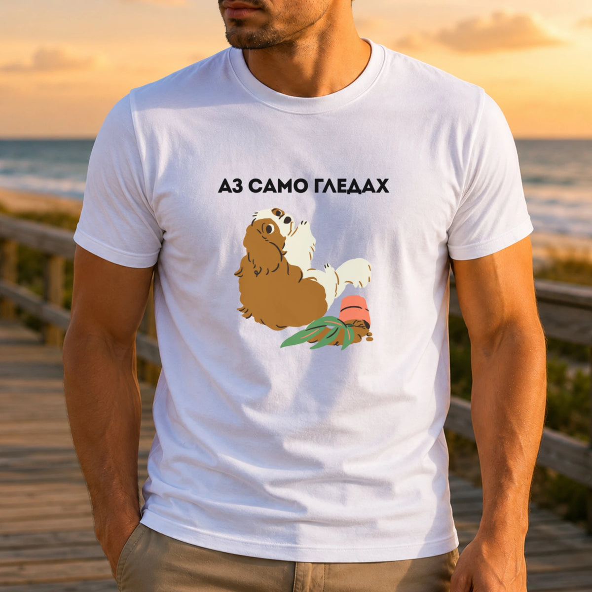 Аз само гледах